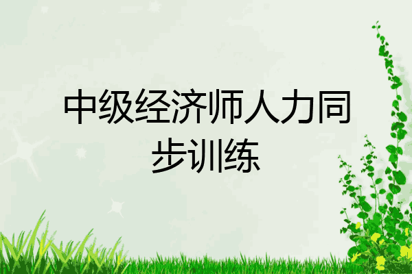 中级经济师人力同步训练