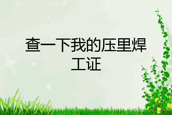 查一下我的压里焊工证