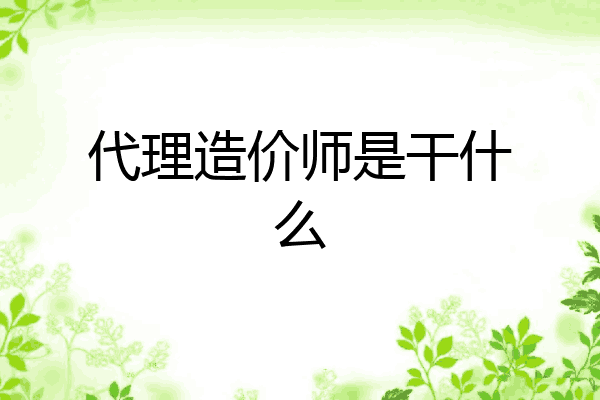 代理造价师是干什么
