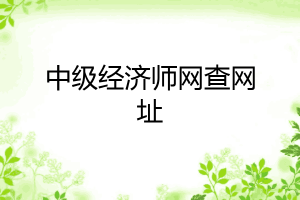中级经济师网查网址