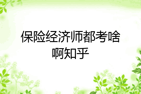 保险经济师都考啥啊知乎