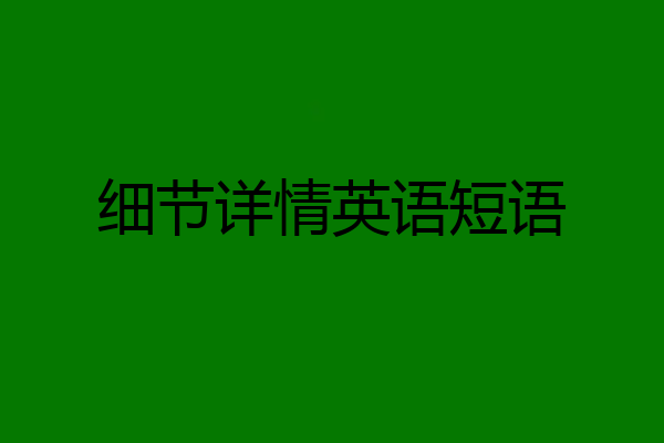 细节详情英语短语