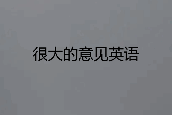 很大的意见英语