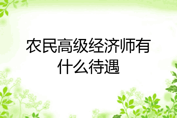 农民高级经济师有什么待遇