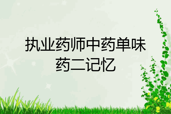 执业药师中药单味药二记忆