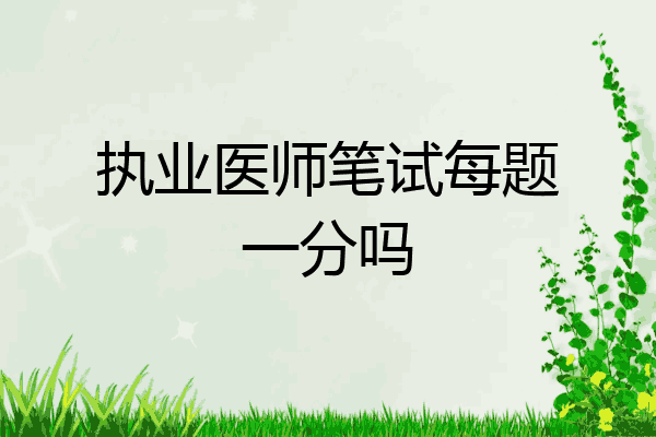 执业医师笔试每题一分吗