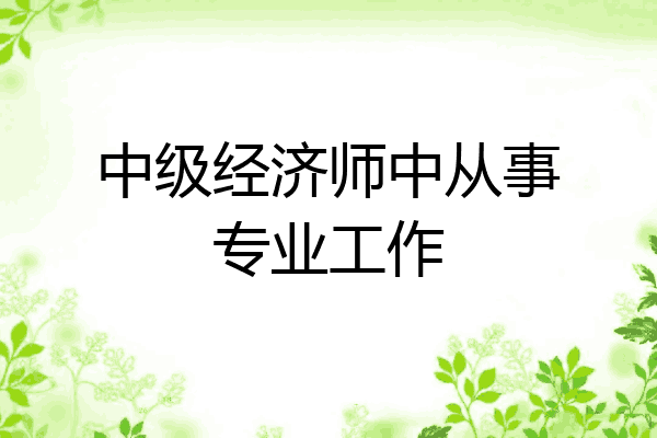 中级经济师中从事专业工作