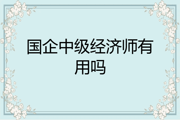 国企中级经济师有用吗