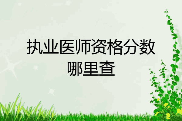 执业医师资格分数哪里查