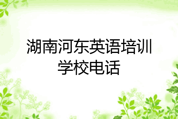 湖南河东英语培训学校电话