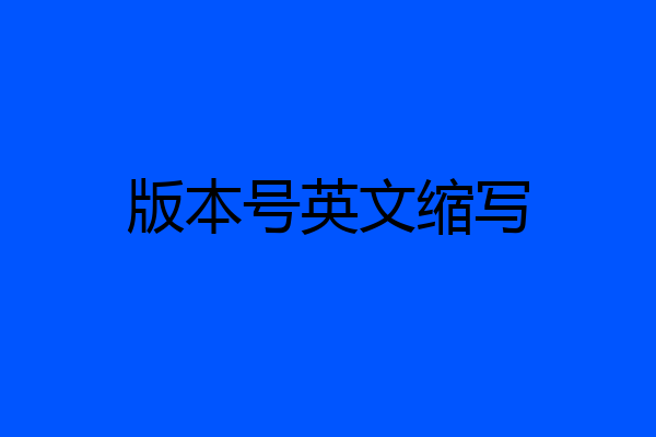 版本号英文缩写