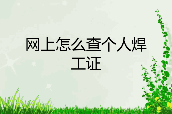 网上怎么查个人焊工证