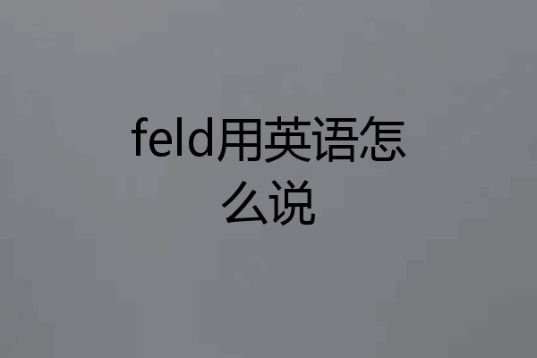 feld用英语怎么说