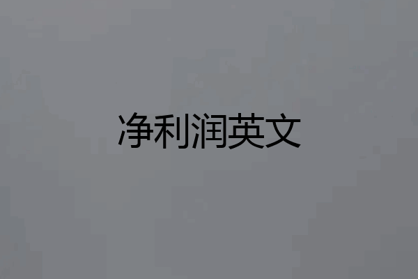 净利润英文