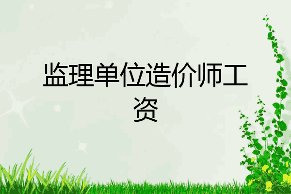 监理单位造价师工资
