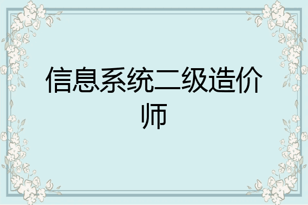 信息系统二级造价师