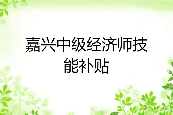 嘉兴中级经济师技能补贴