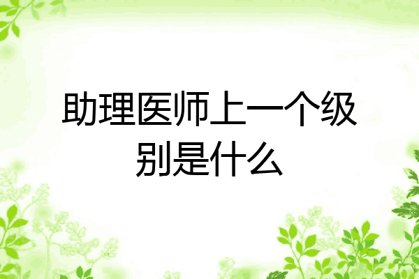 助理医师上一个级别是什么