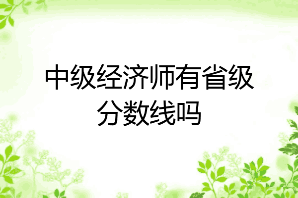 中级经济师有省级分数线吗
