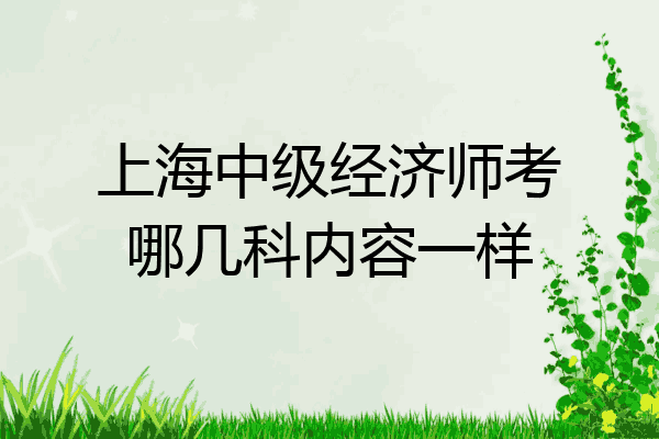 上海中级经济师考哪几科内容一样