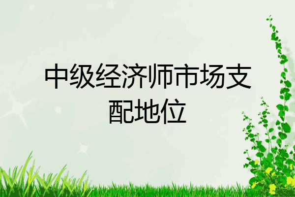 中级经济师市场支配地位