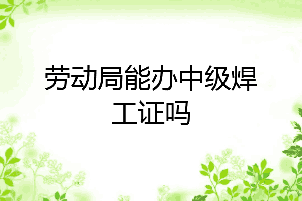 劳动局能办中级焊工证吗