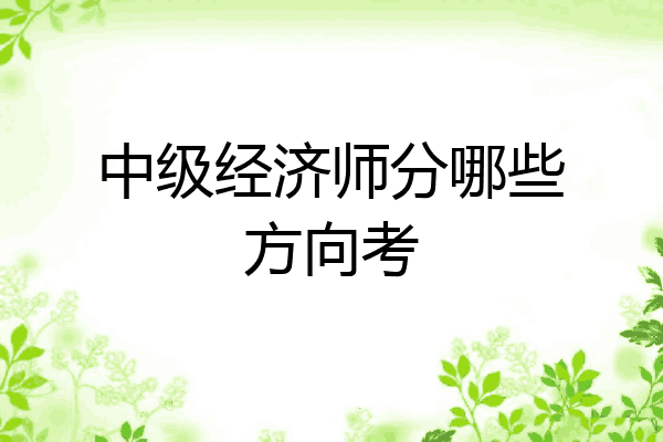中级经济师分哪些方向考