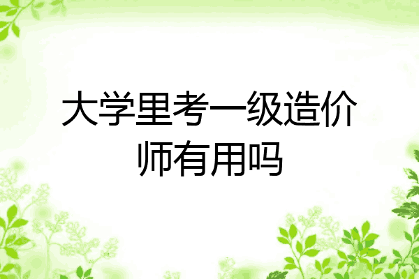 大学里考一级造价师有用吗