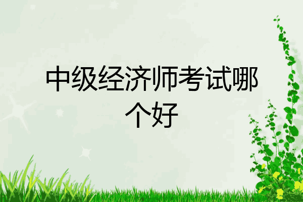 中级经济师考试哪个好