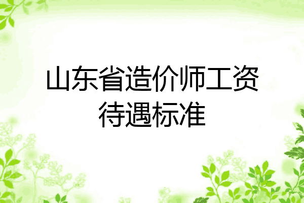 山东省造价师工资待遇标准