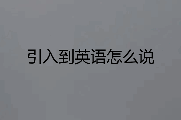 引入到英语怎么说