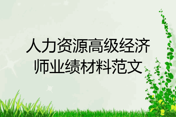 人力资源高级经济师业绩材料范文