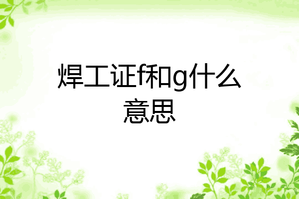 焊工证f和g什么意思