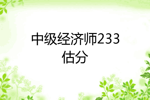 中级经济师233估分