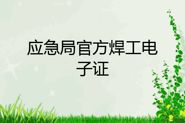 应急局官方焊工电子证