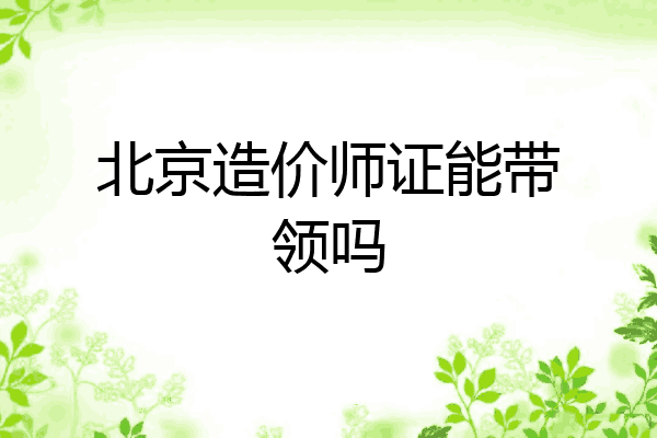 北京造价师证能带领吗
