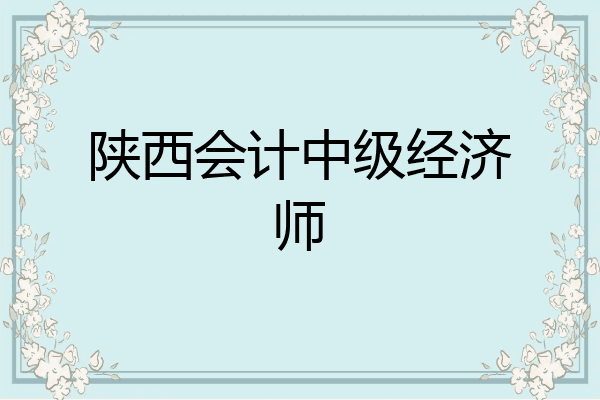 陕西会计中级经济师