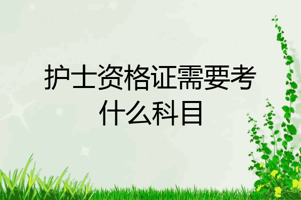 护士资格证需要考什么科目