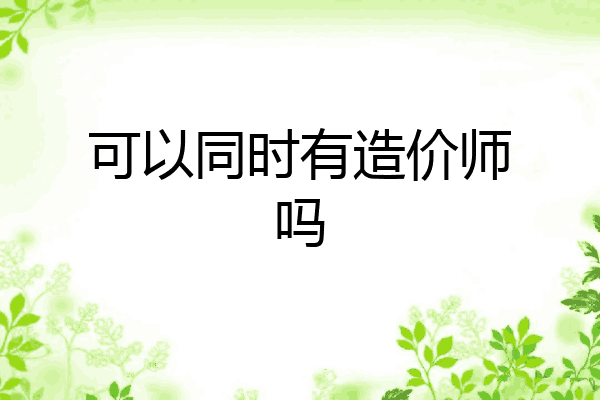 可以同时有造价师吗