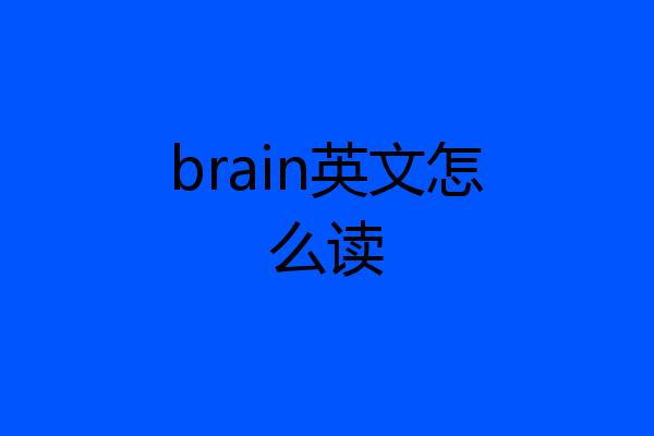 brain英文怎么读