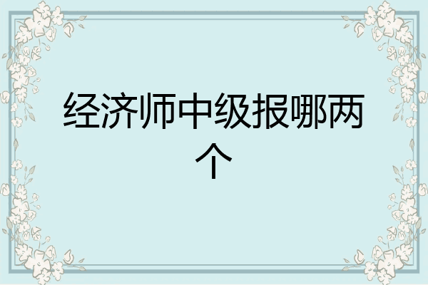经济师中级报哪两个