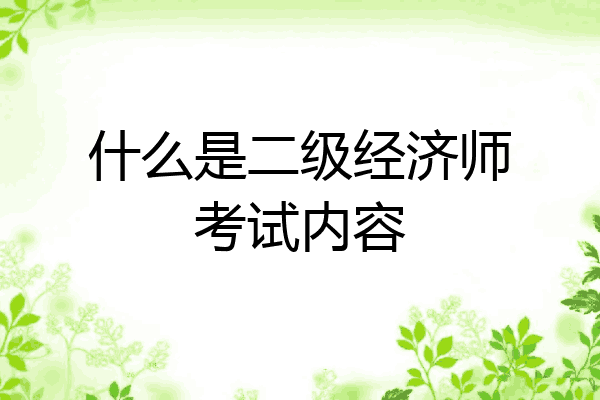 什么是二级经济师考试内容