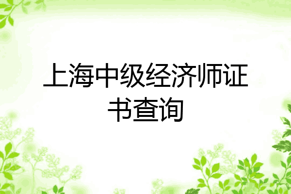 上海中级经济师证书查询