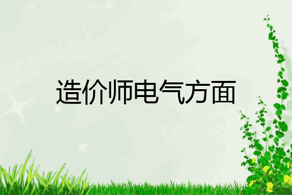 造价师电气方面