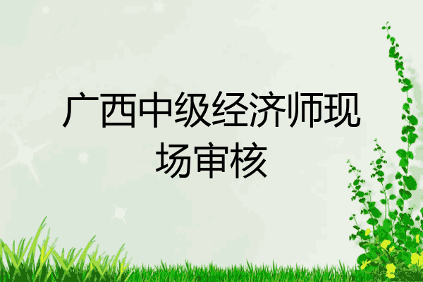 广西中级经济师现场审核