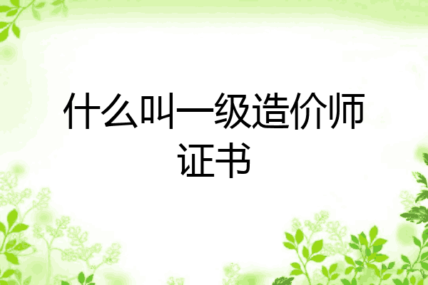 什么叫一级造价师证书