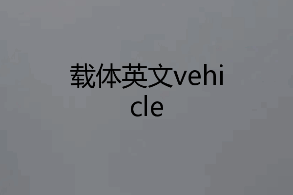 载体英文vehicle