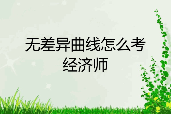 无差异曲线怎么考经济师