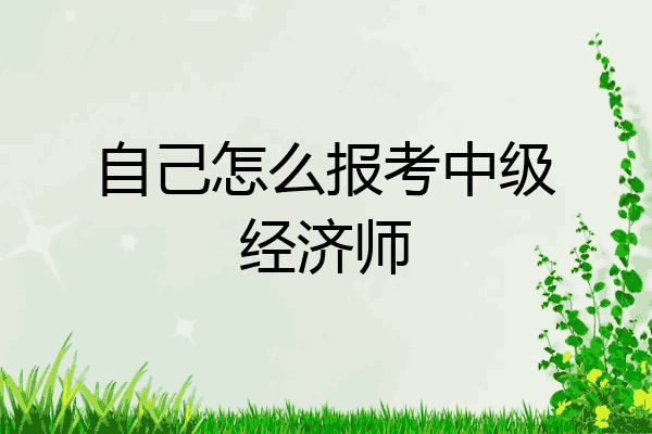 自己怎么报考中级经济师