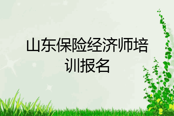 山东保险经济师培训报名